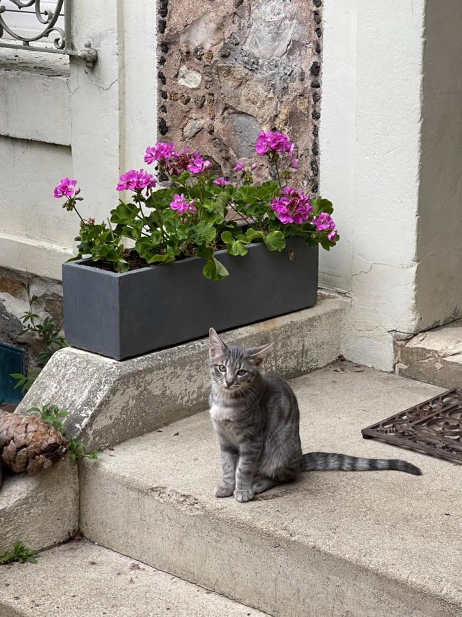 Maison Du Bonheur วิลลิเยร์-ซูร์-มาร์น ภายนอก รูปภาพ